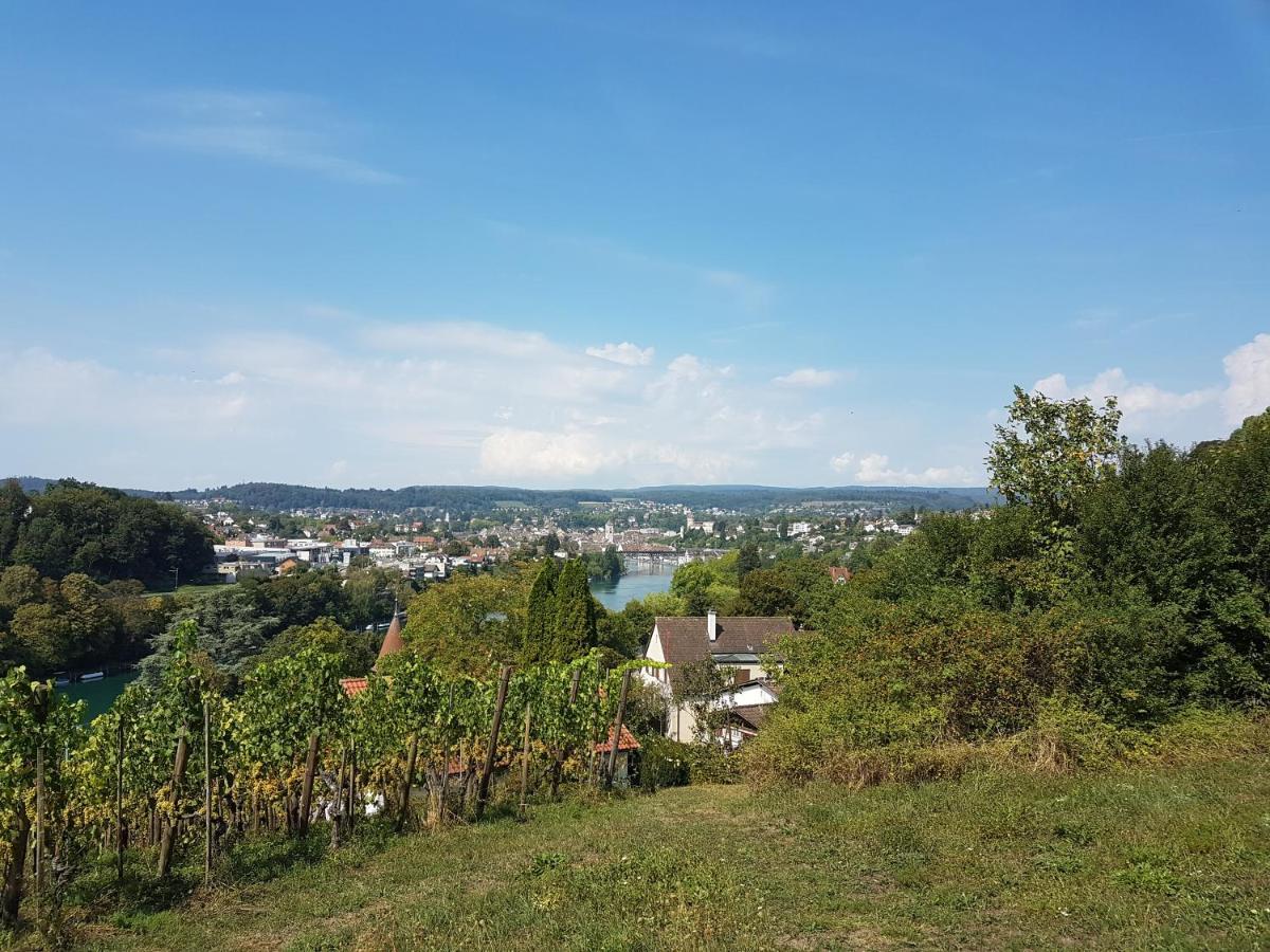 Ferienwohnung Rheinblick In Buesingen -Keine Monteure- Busingen Exterior photo